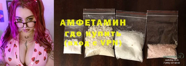 твердый Дмитриев