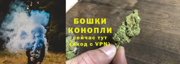 твердый Дмитриев