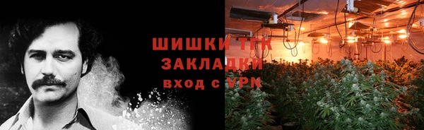 твердый Дмитриев