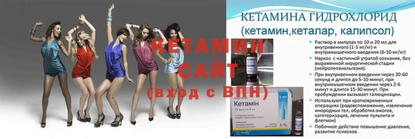 твердый Дмитриев