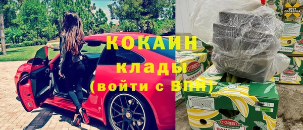 твердый Дмитриев
