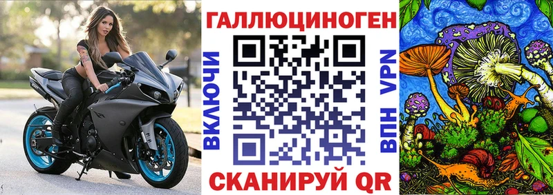 как найти закладки  Заринск  Псилоцибиновые грибы MAGIC MUSHROOMS 