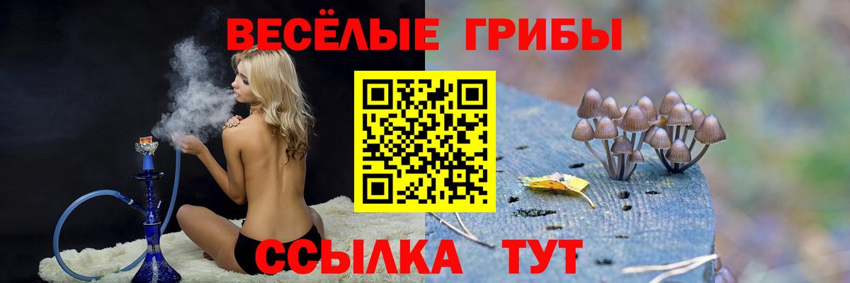 Галлюциногенные грибы Cubensis Заринск